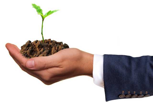 Aziende green: come riconoscerle e quali sono i vantaggi della sostenibilit�